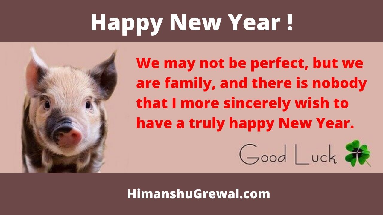 Happy New Year Shayari in English For Friends