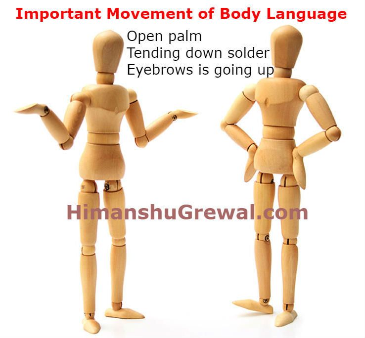 Important Movement of Body Language