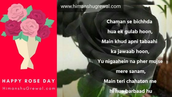 Happy Rose Day Images with Quotes For Friends in Hindi
