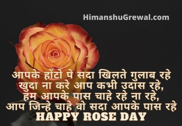 Rose day hindi shayari images